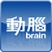 動腦Brain addog
